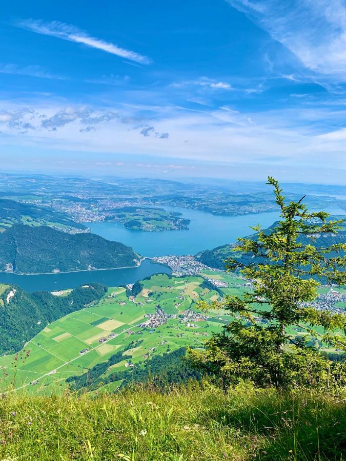 The Swiss Paradise 2 Apartment With Garden, Whirlpool, And Mountain Panorama Wirzweli Екстериор снимка