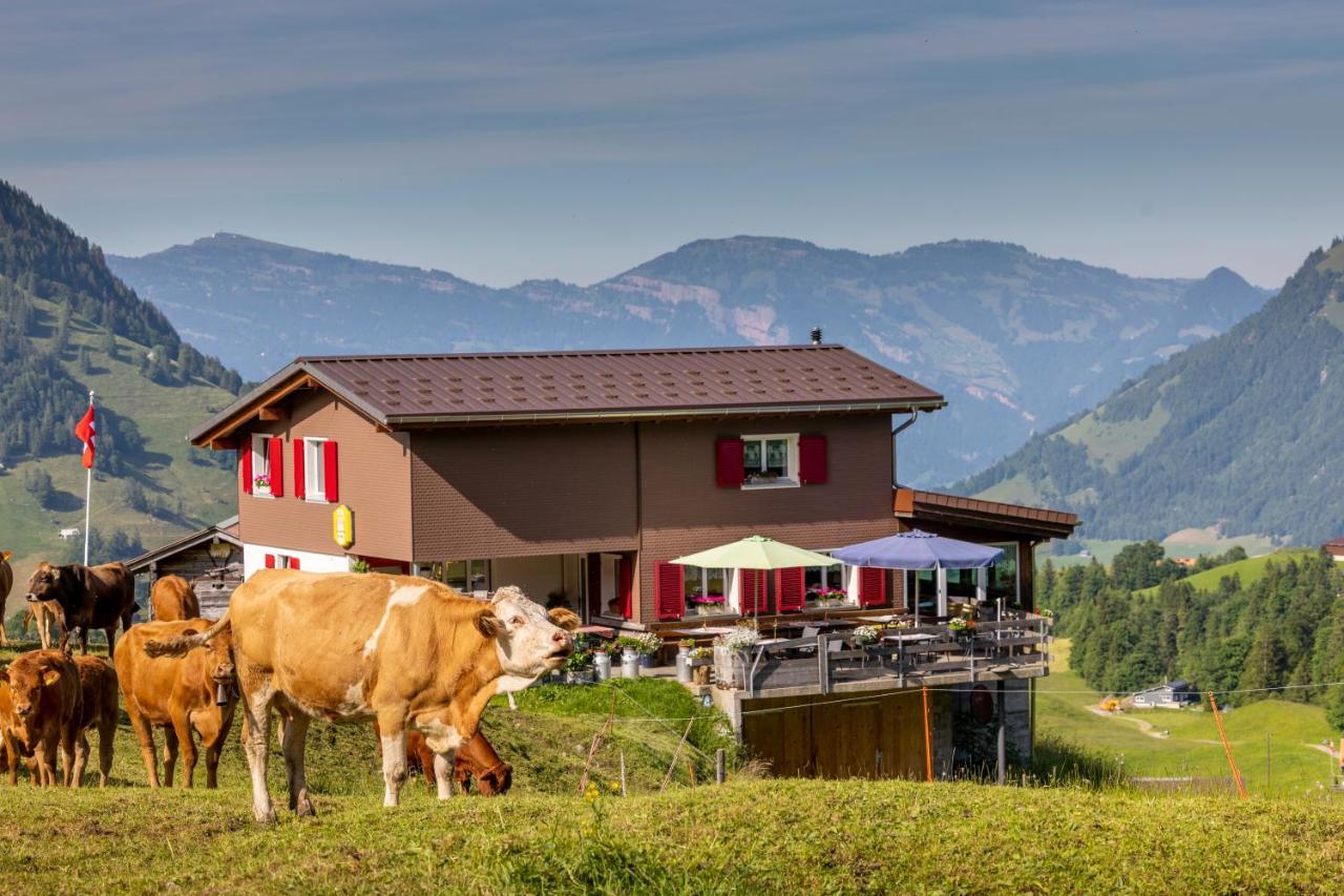 The Swiss Paradise 2 Apartment With Garden, Whirlpool, And Mountain Panorama Wirzweli Екстериор снимка
